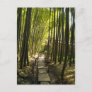 Suche nach bamboo postkarten Wald