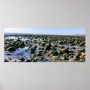 Suche nach california beach poster Fotografie