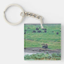 Suche nach amerikanischer bison schlüsselanhänger Tier