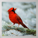 Suche nach roter himmel poster Abstrakt