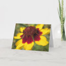 Suche nach makro karten Blume