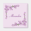 Suche nach kirschblüten magnete Rosa