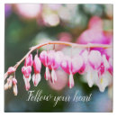 Suche nach rosa blumen fliesen Blüten