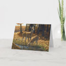Suche nach whitetail karten Hirsche