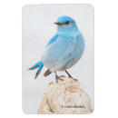 Suche nach hügel magnete Naturfotografie