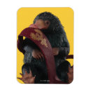 Suche nach geheimnisse magnete Niffler