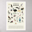 Suche nach storch kunst Vögel