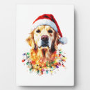 Suche nach golden retriever fotoplatten Mops