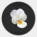 Suche nach abgeschieden aufkleber Blume