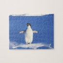 Suche nach pinguin puzzle Puschensah