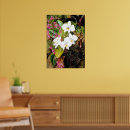 Suche nach motten poster Blumen