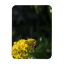 Suche nach natur magnete Gelb