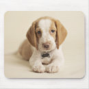 Suche nach welpe mousepads Tierthemen