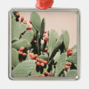 Suche nach dornen ornamente Botanisch