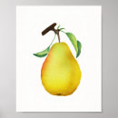 Suche nach birnen kunst Obst