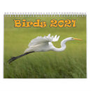 Suche nach eulen kalender Vogelbeobachtung