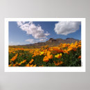 Suche nach mountian Natur