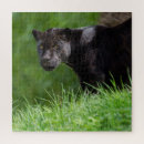 Suche nach jaguar puzzle Panther
