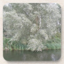 Suche nach landscape untersetzer Bäume