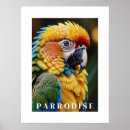 Suche nach parrots poster Tropisch