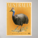 Suche nach australische vögel poster Australien