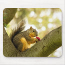 Suche nach tierische mousepads Süß