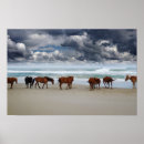 Suche nach äußer poster Strand