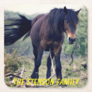 Suche nach wilde pferde untersetzer Tier