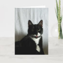 Suche nach braten postkarten Spaß