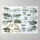 Suche nach snake kunst Viper