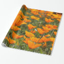 Suche nach mohnblume geschenkpapier Geburtstag