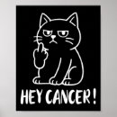 Suche nach mittelfinger poster Meme