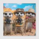Suche nach tourist karten Urlaub