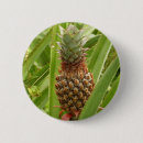 Suche nach früchte buttons Ananas
