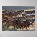 Suche nach mongolei poster Pferd