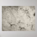 Suche nach jagd poster Sonne