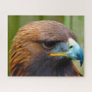 Suche nach raubvögel puzzle Für ihn