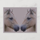 Suche nach fjorde postkarten Norwegischer fjord