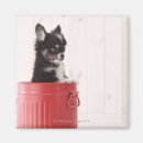 Suche nach eimer magnete Horizontal