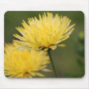 Suche nach chrysantheme mousepads Mäuse