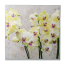 Suche nach orchid fliesen Lila