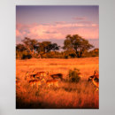 Suche nach beschaffenheit poster Natur