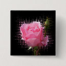Suche nach schwarze rose buttons Rosa