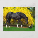 Suche nach sklave postkarten Natur