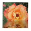 Suche nach orange rose fliesen Blume