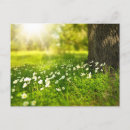 Suche nach erstellen postkarten Vorlage