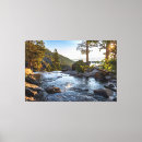 Suche nach seeadler poster Natur
