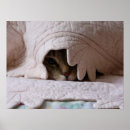 Suche nach pinkeln poster Hund