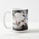 Suche nach hund hochzeit geschenke Herz