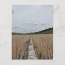 Suche nach sumpf postkarten Schilf